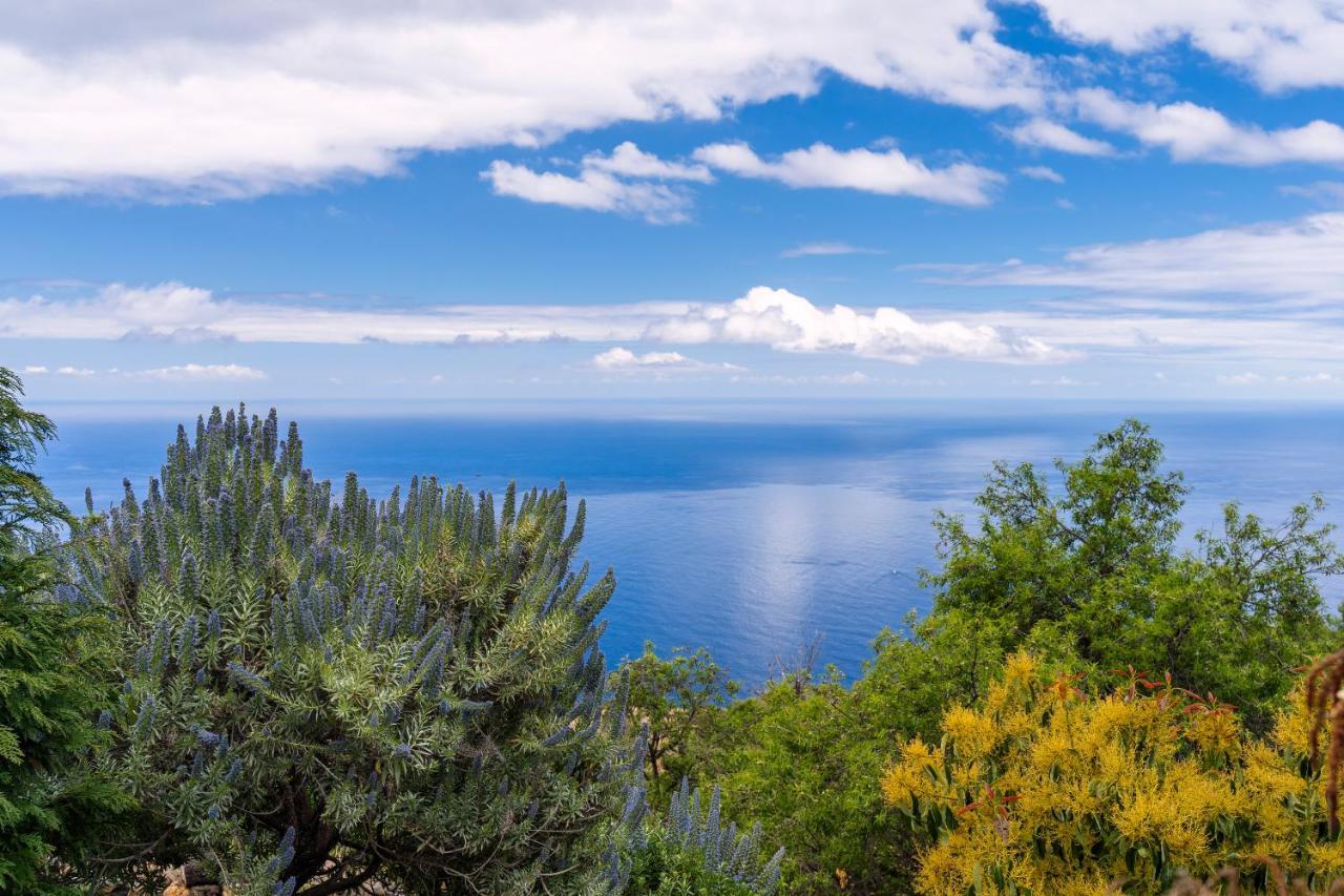 El Palmeral Tinizara Buitenkant foto