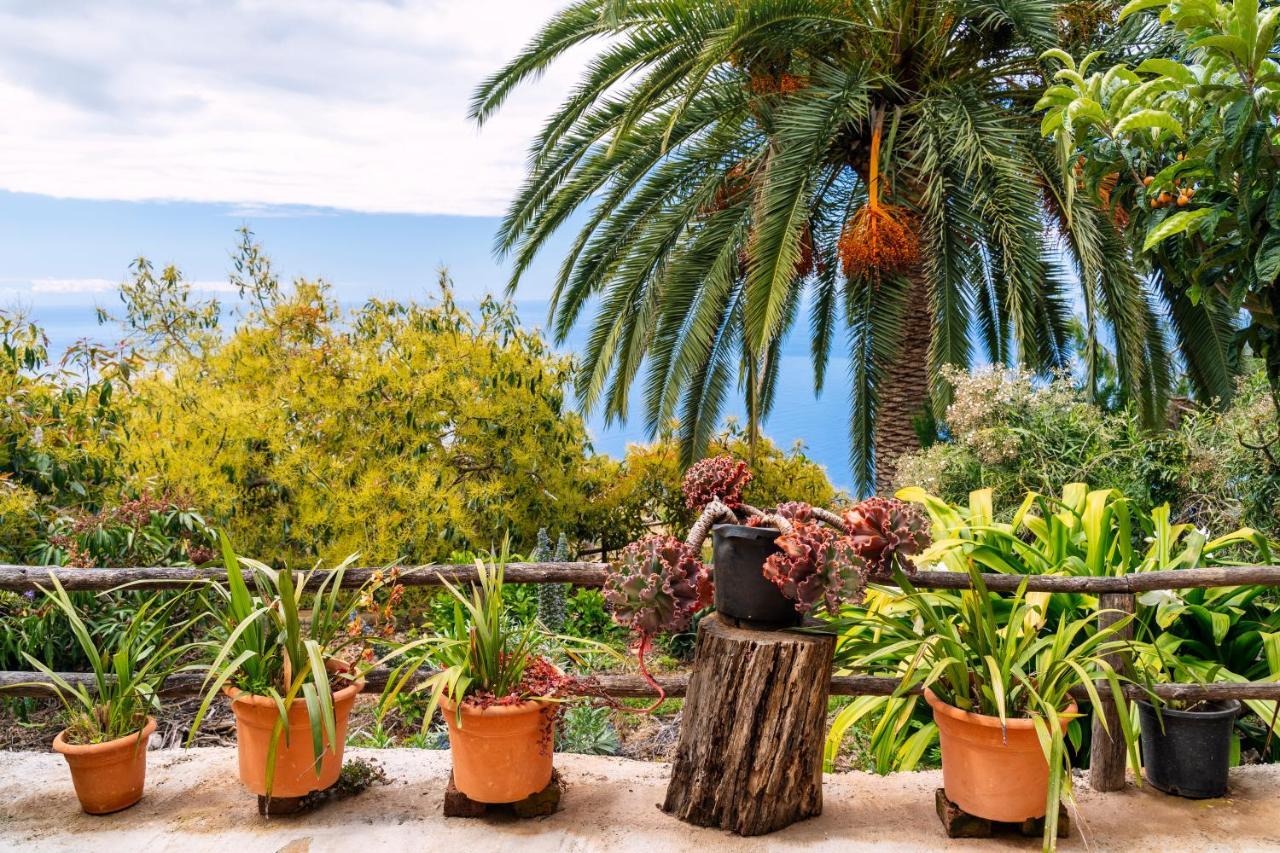 El Palmeral Tinizara Buitenkant foto